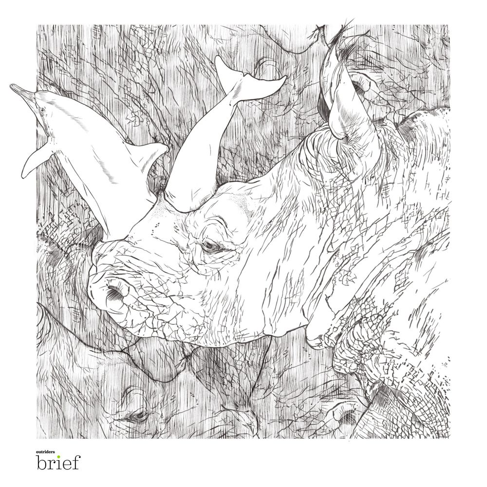 Szczęśliwe delfiny, nosorożce białe i trochę polityki