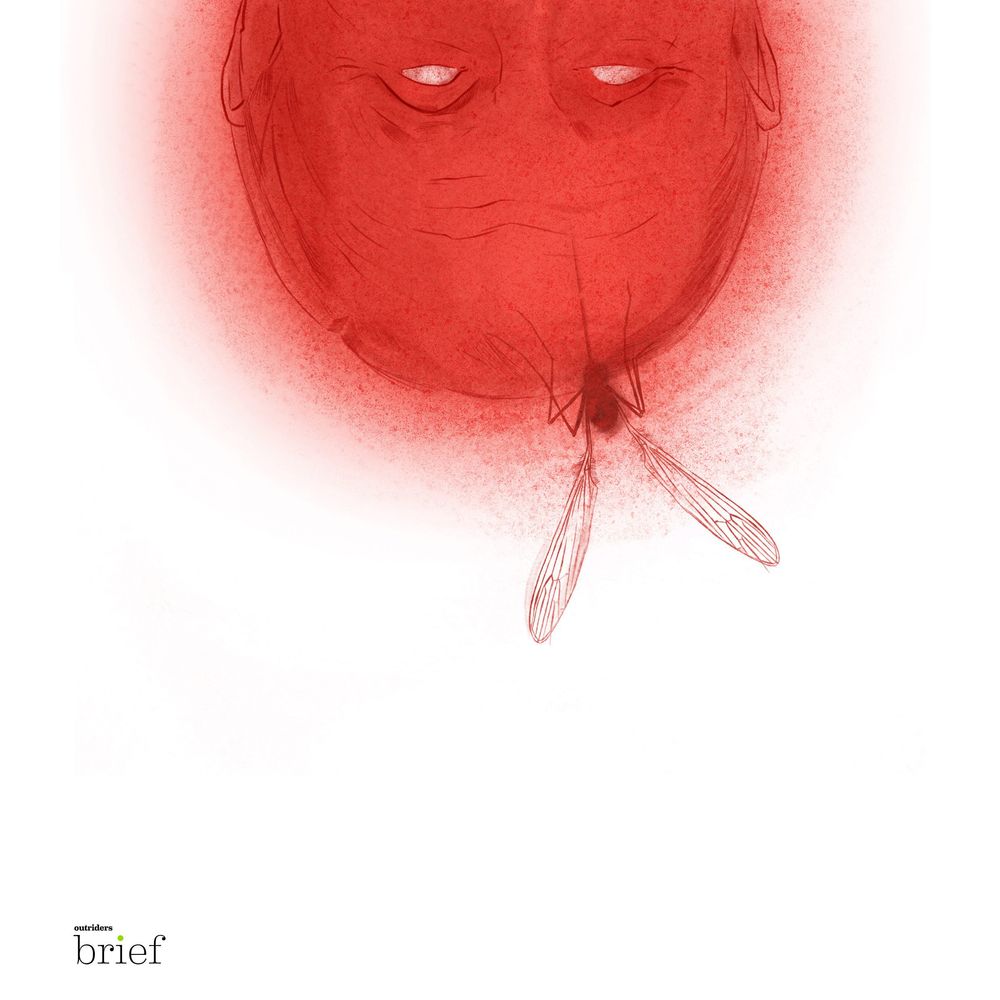 Miodożer maskowy, słoneczny wiatr i czarne wdowy