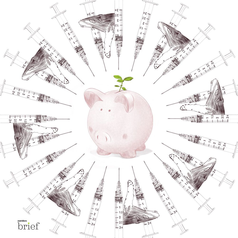 Banki nasion, humbaki z perspektywy kosmosu i 5-ALA