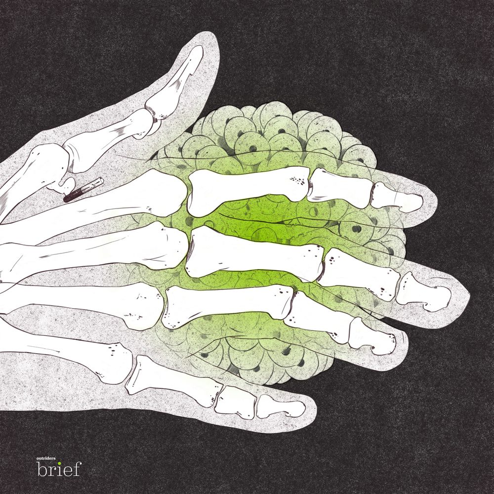 Deep fakes, migranci wracający do domów i mikrochipy u pracowników