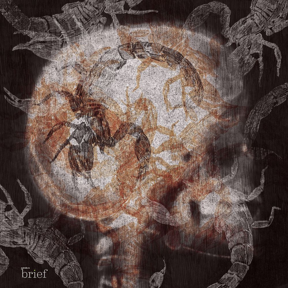 Fake newsy, legalizacja narkotyków na świecie i tajemniczy chruścielowiec białogardły