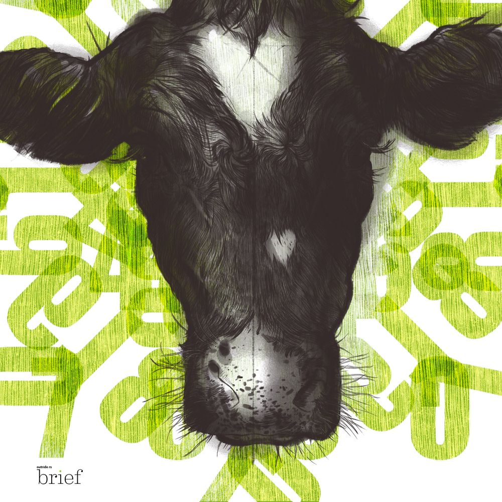 Antysemityzm i islamofobia na świecie, sceptycyzm w UE i nowa forma życia