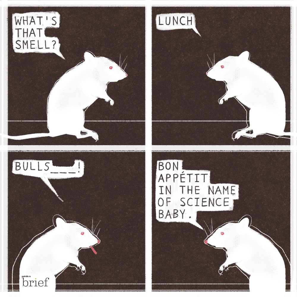 Nowy lek na malarię, zmiany klimatu w Himalajach i wojna handlowa między USA a Chinami