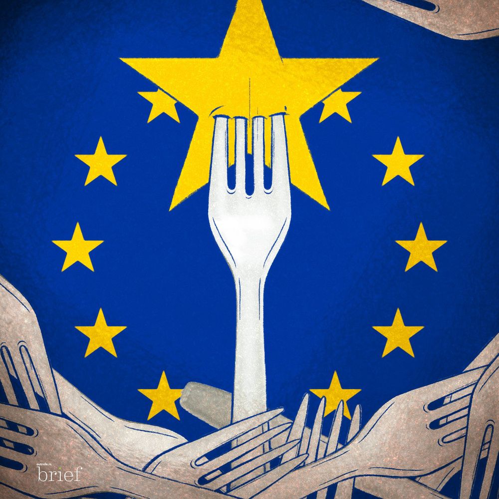 Wybory na świecie, handel ludźmi i prawa społeczności LGBT