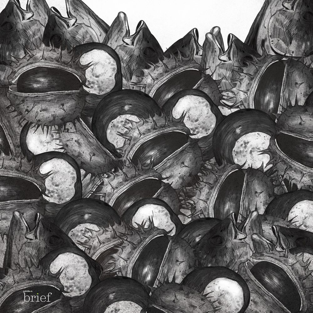 Zmiany w oceanach, komputer kwantowy i nowe leki dla chorych na raka