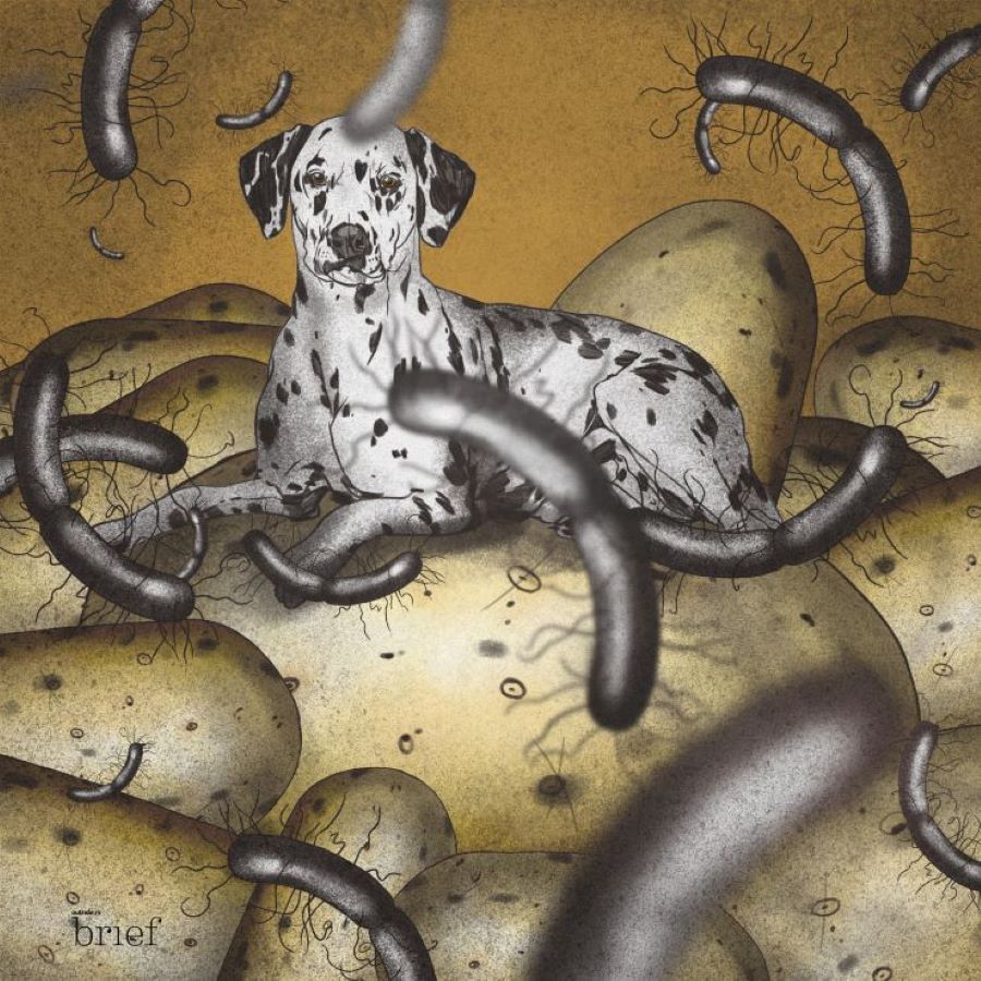 Wirus HIV, bags for life i zdrowie psychiczne pracowników