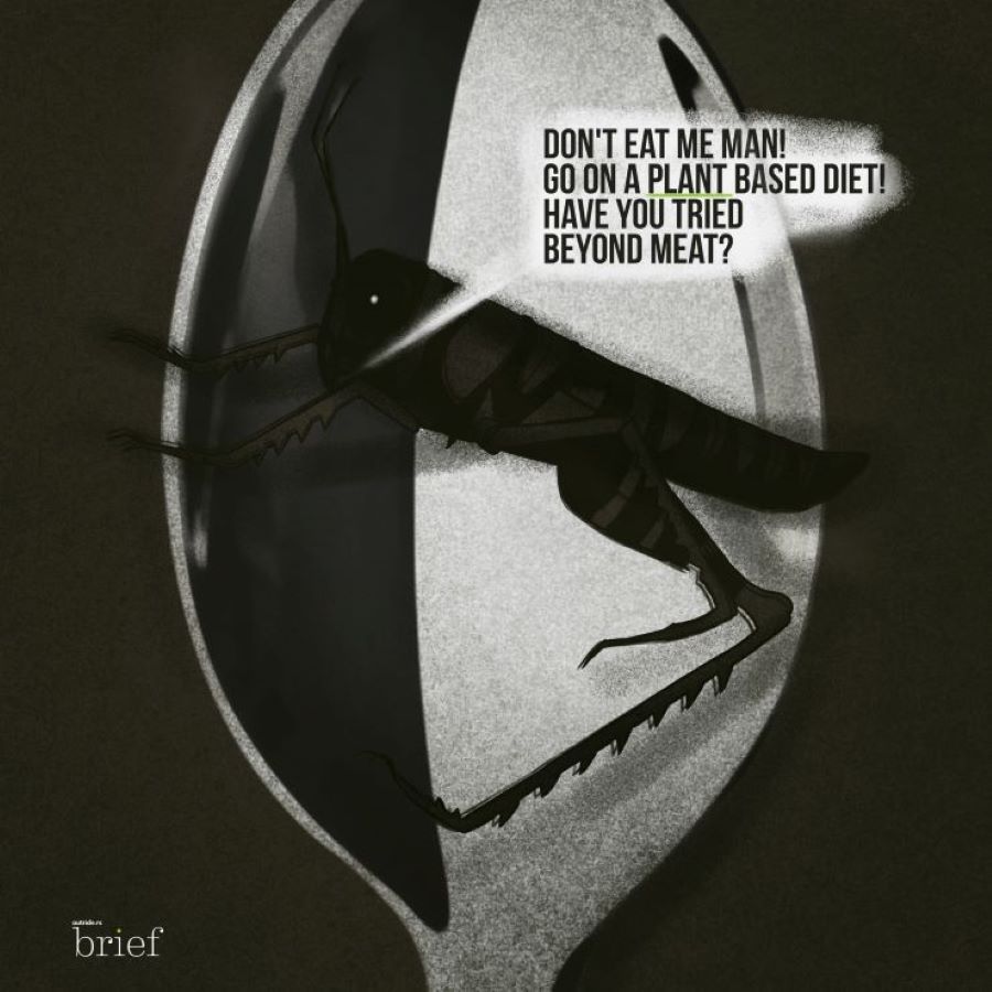 Sztuczne słońce, schmoozing i akustyczna terapia klastrowa