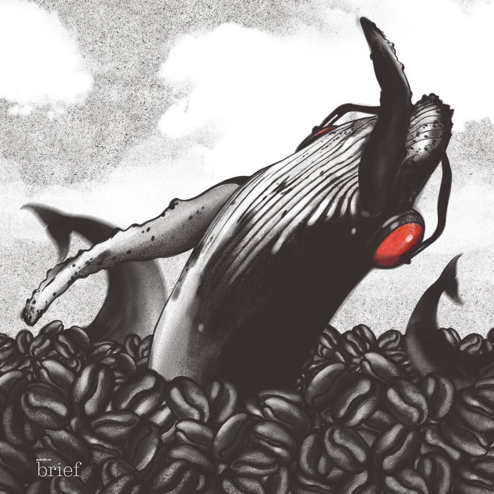 Niewolnictwo, kompostowanie zwłok i energia Afryki