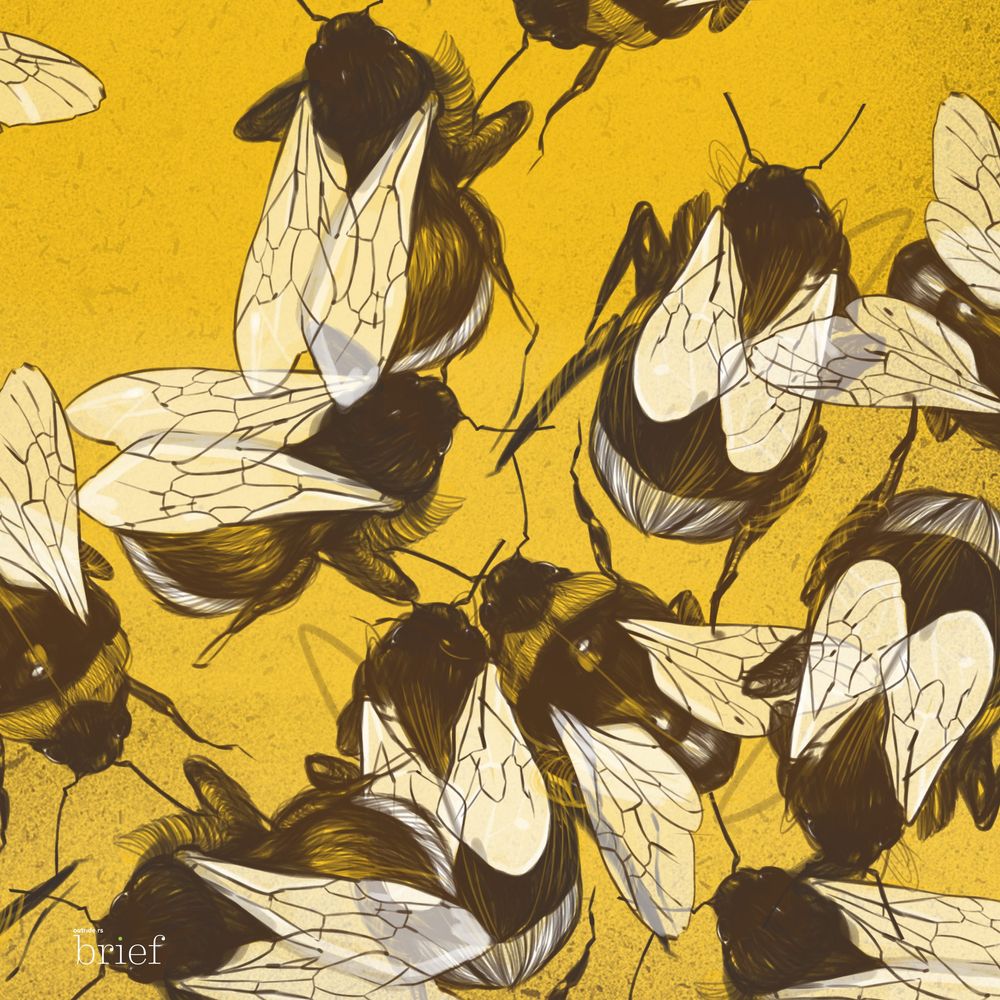 Wybory w pandemii, sztuczne oko i strategia trzmieli