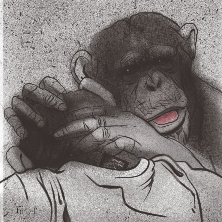 Łowcy pedofilów, robot-leniwiec i ludność Cayambe