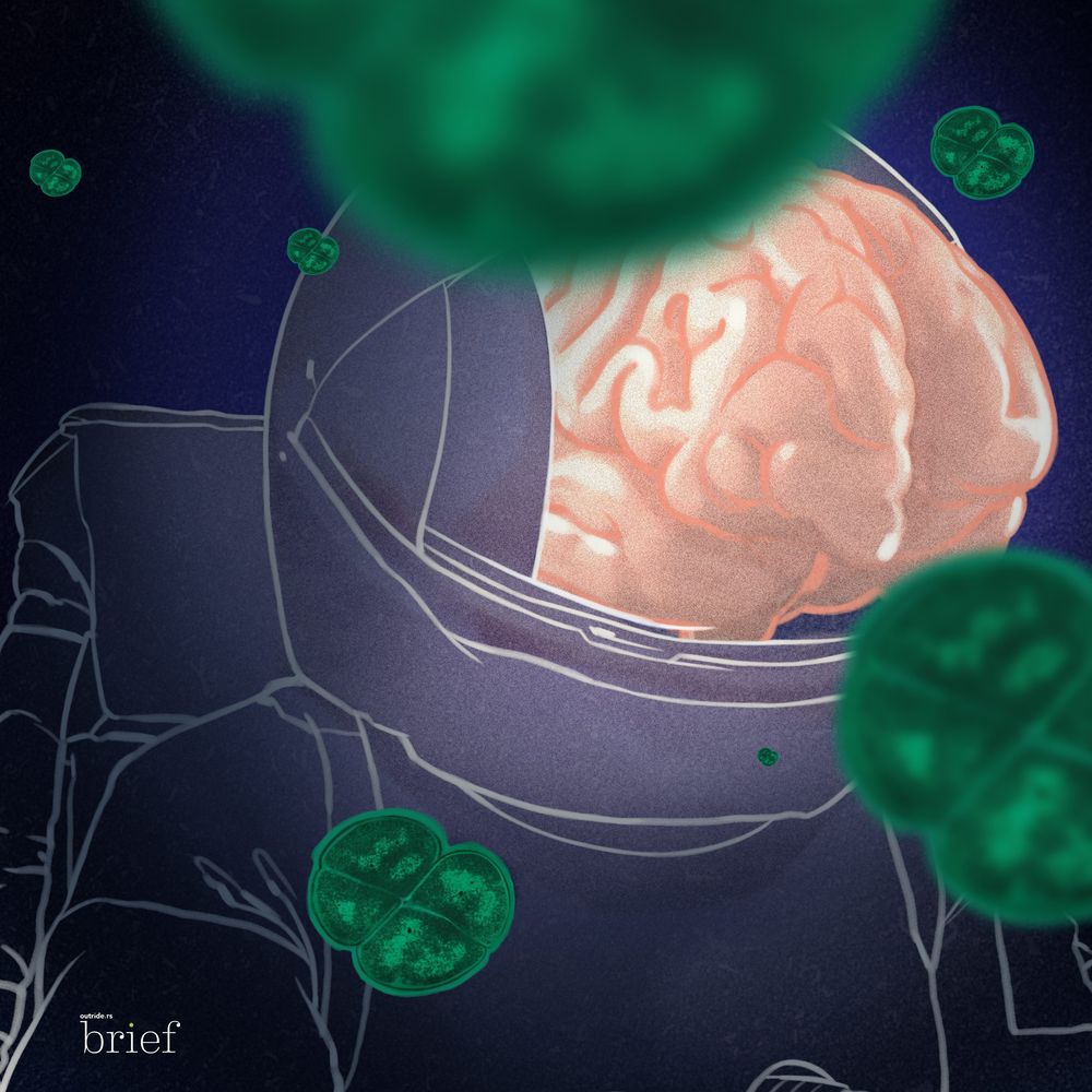 Uprzedzenia językowe, Conan the Bacterium i yakuza