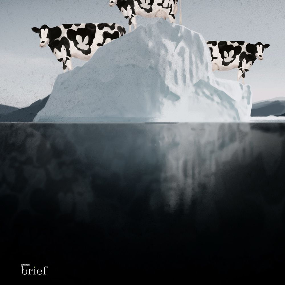 „Elektroniczna Skóra”, dieta roślinna i langury