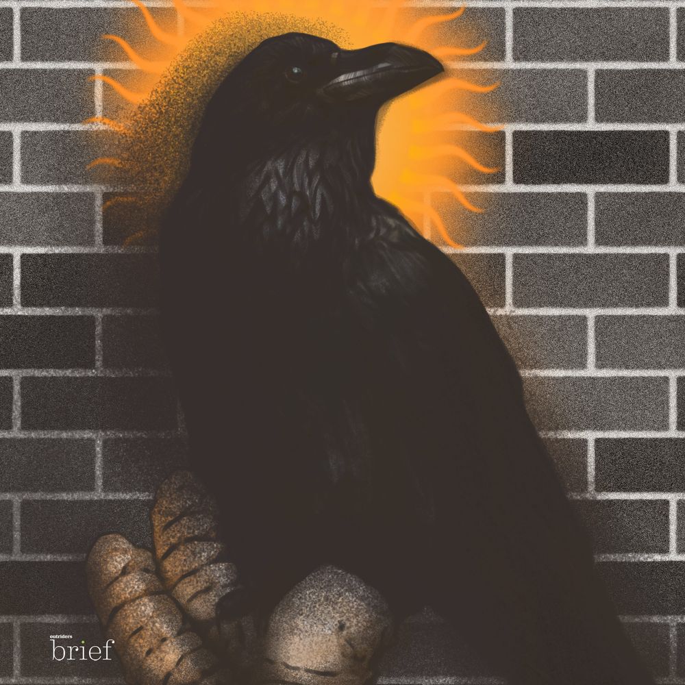 Robotyczne psy, meksykańskie kartele i ekofryzjerzy