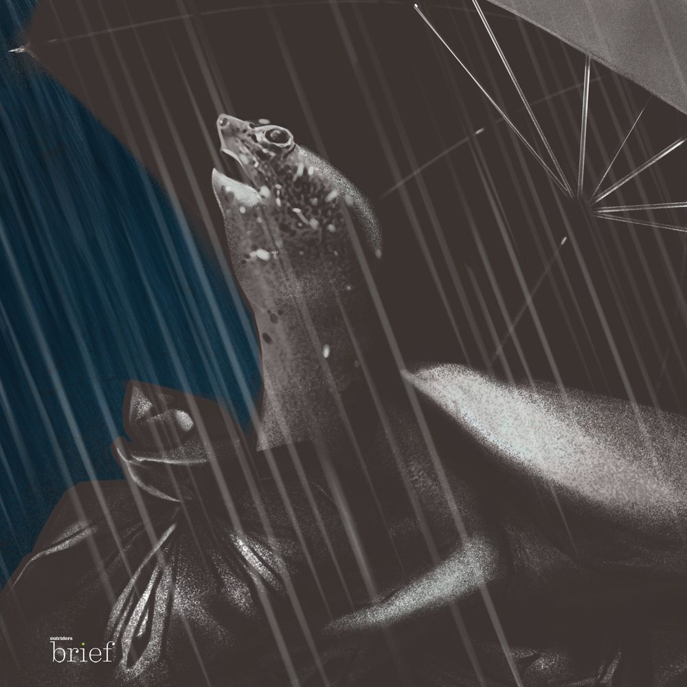 Satelity z drewna, gaz z Azerbejdżanu i jadalne owady