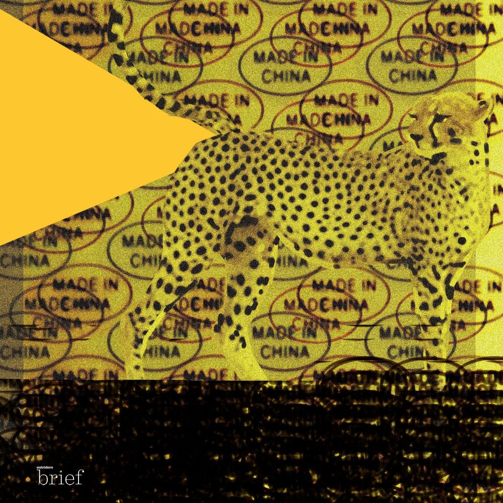 Migracje klimatyczne, slow fashion i arabscy sokolnicy