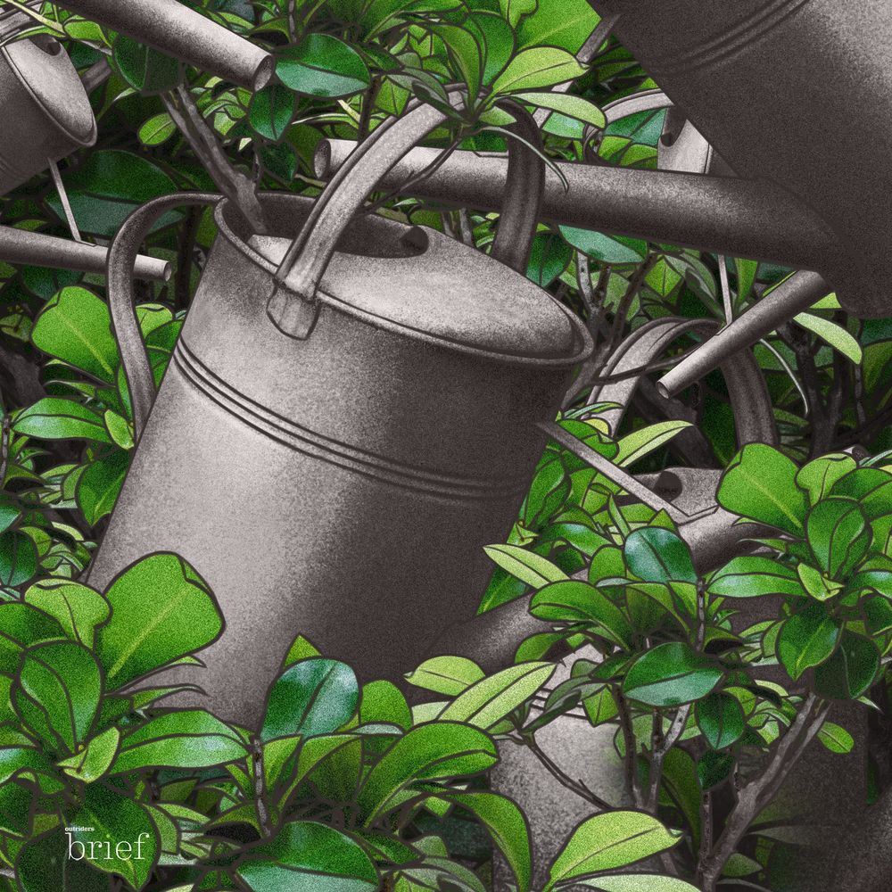 Ekspansja zwierząt, „bank” Hezbollahu i pokój w Mali