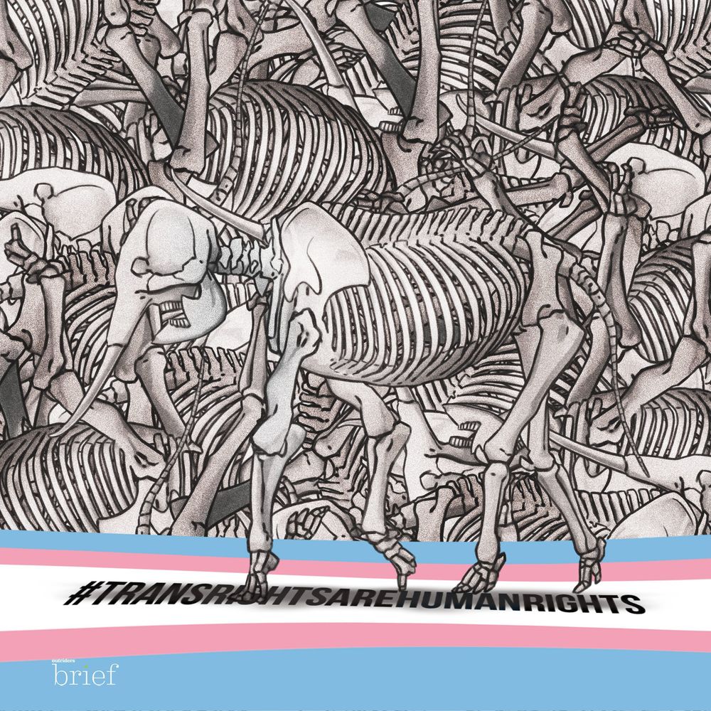 Prawa Gujańczyków, bezpieczeństwo koali i Olaparib