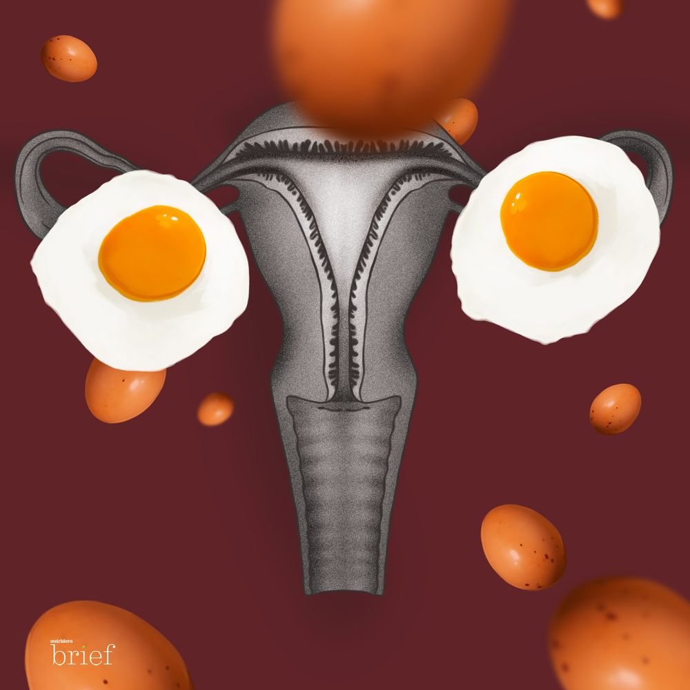 Hazarowie, zagrożone języki i energia z wulkanów