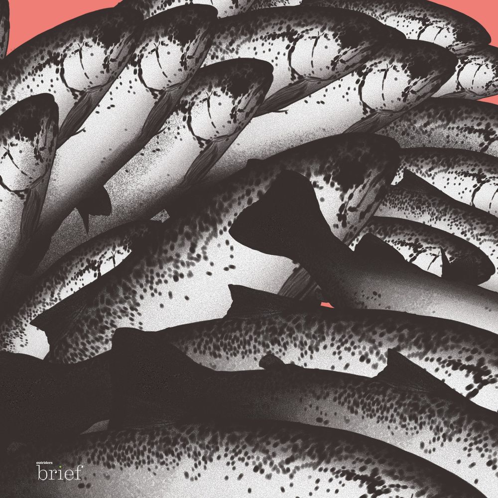 Tango, Betelgeza i beton ze skórek pomarańczy