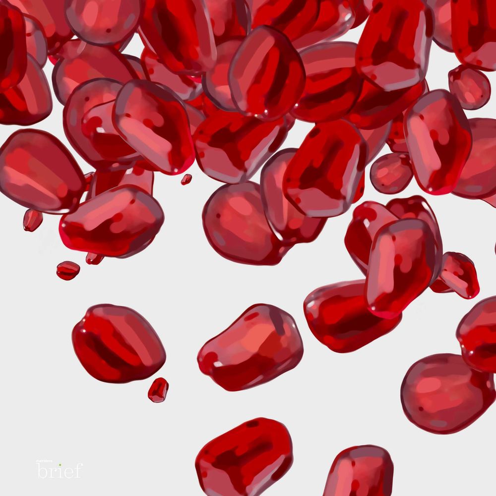 Transformers, mięsożerne pszczoły i afgańskie granaty