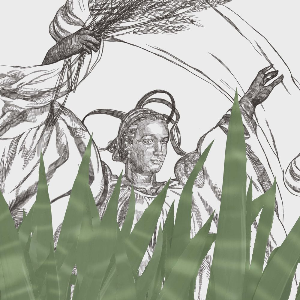 Redlining, aeroponika i etiopskie artefakty