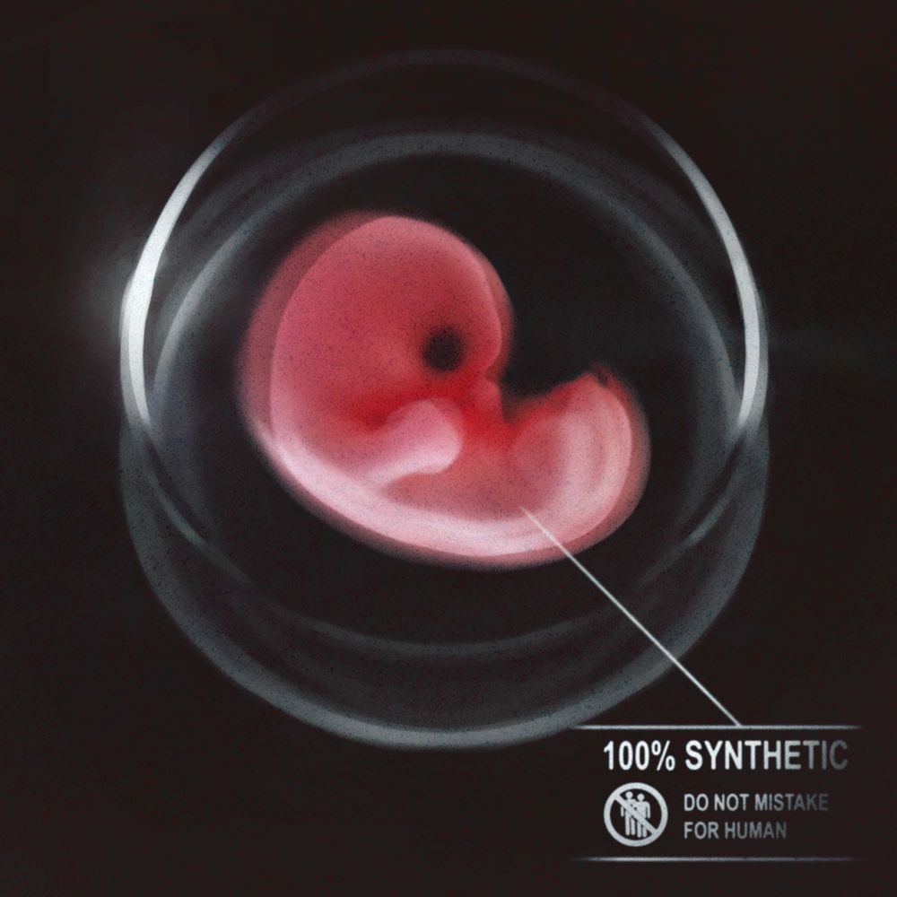 OrganEx, „pot kukurydziany” i rasizm a zdrowie mózgu