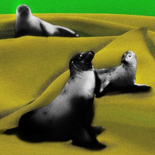 Psylocybina, zielone promy i Klub Off The World