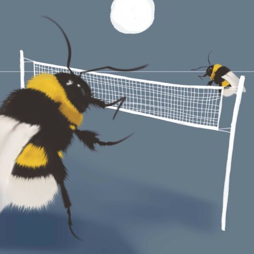 Energia, spółki offshore i rozjemcy w świecie zwierząt 