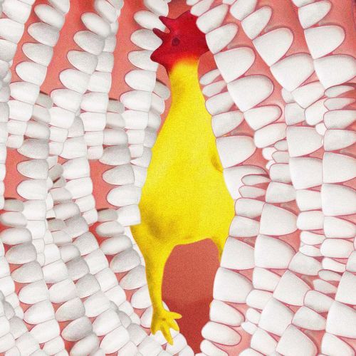 Architektura bioregionalna, 6G i mięso z probówki