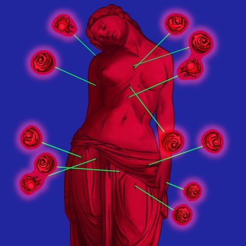 Prawa kobiet, Carlina corymbosa i azjatyckie 800+