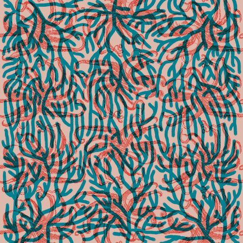 Deklaracja ankarska, lud Wayuu i AI w medycynie