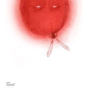 Miodożer maskowy, słoneczny wiatr i czarne wdowy