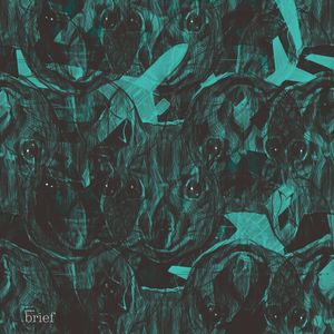 Opos z rodziny pseudopałankowatych, grupa Stansted 15 i „świąteczna kometa”