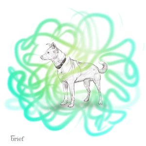 Reportaż z Nowej Kaledonii, zabójczy kratom i pies z neolitu