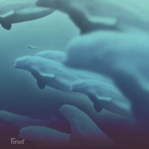 Kryzys różnorodności biologicznej, sposób na powstrzymanie wirusa HIV i bojowa białucha arktyczna