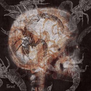 Fake newsy, legalizacja narkotyków na świecie i tajemniczy chruścielowiec białogardły