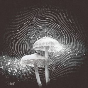 Masowe protesty w Hongkongu, ekstremalne upały i granice wytrzymałości człowieka