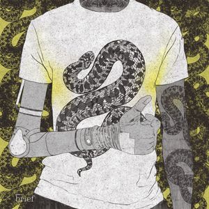 Fala upałów, wycinka lasów w Amazonii oraz ręka Luke’a Skywalkera