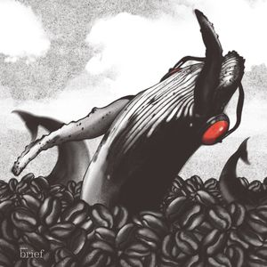 Niewolnictwo, kompostowanie zwłok i energia Afryki