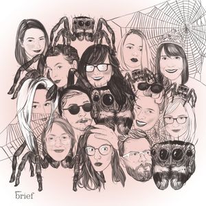 Pająki pawie, język marszalski i ambasadorzy