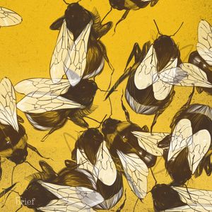 Wybory w pandemii, sztuczne oko i strategia trzmieli