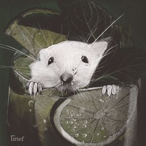 Segregacja seksualna, DNA kałamarnicy i rycyna