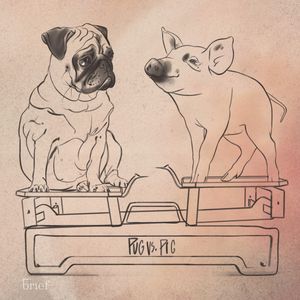 Feministyczna polityka, prawa zwierząt i wulkany