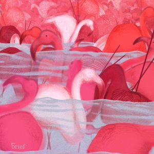 Plemię Karuk, aktywność neuronalna i mukbang