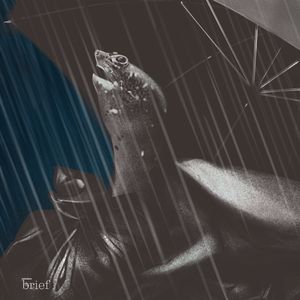 Satelity z drewna, gaz z Azerbejdżanu i jadalne owady