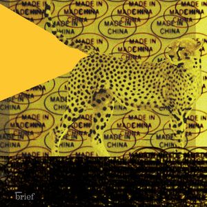 Migracje klimatyczne, slow fashion i arabscy sokolnicy