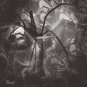 Sportswashing, błyskawice w Arktyce i rdzenni strażnicy lasów