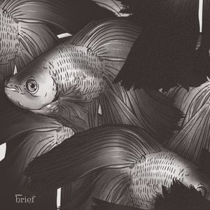 Neuston, jazydzi i Morras Help Morras