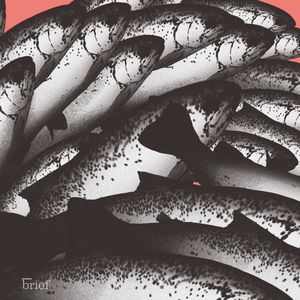 Tango, Betelgeza i beton ze skórek pomarańczy