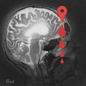 „Żywe materiały”, Cabo Delgado i temperatura mokrego termometru